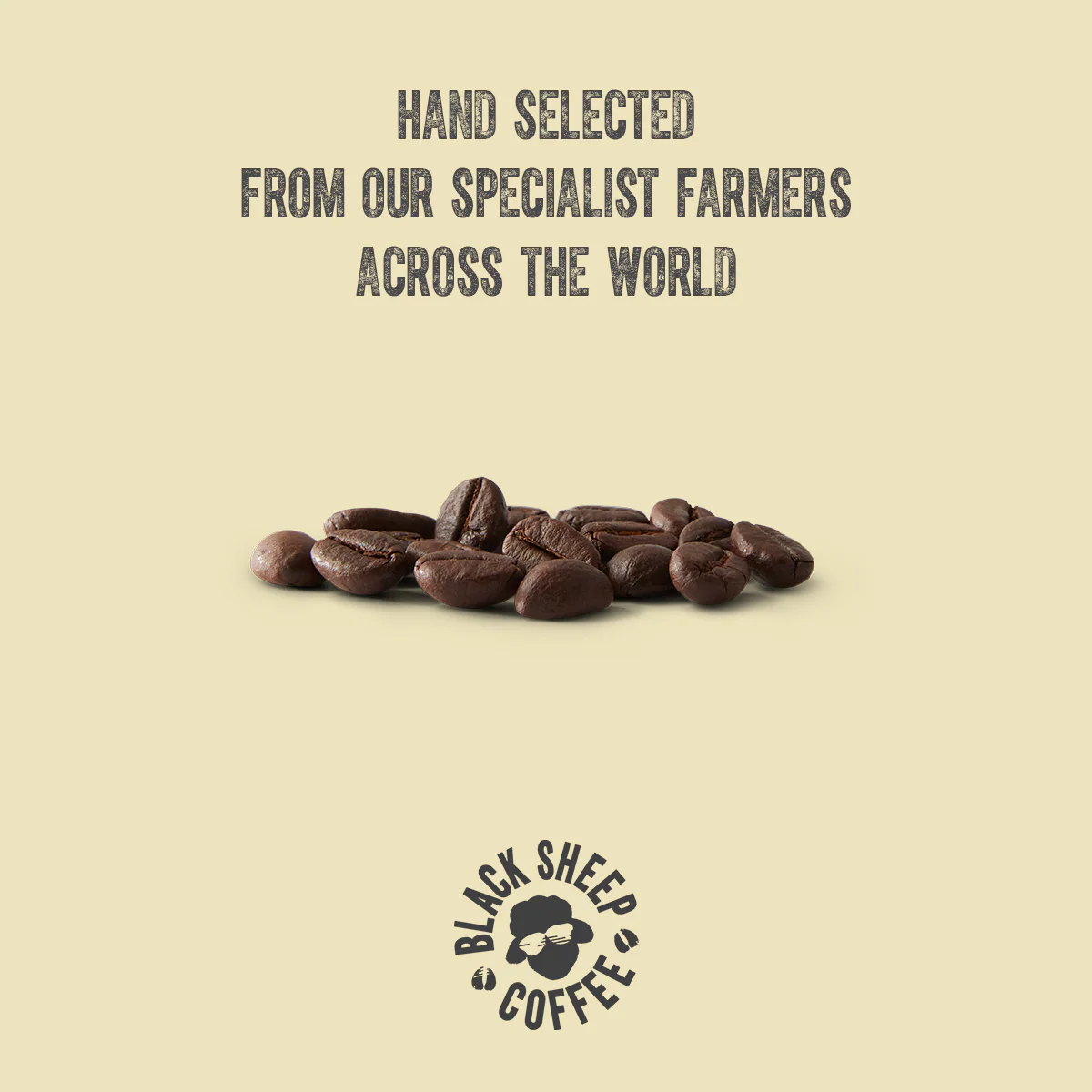 Robusta Revival - Image 3